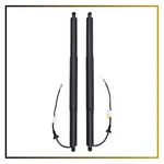Rear Tailgate Lift Support Struts Left Right Fits 20-24 Toyota Highlander Pcs New. Price: $158.00.