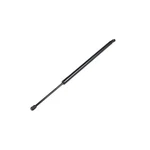 Genuine Oem Mopar Hatch Lift Support For Chrysler Town & Country 68089035AD New. Price: $50.61.