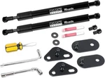 Winunite Pack Of Compatible With 2015-2026 F150 Tailgate Assist New. Price: $30.00.