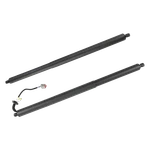 Oem Genuine Ford Escape 2013-2019 Power Liftgate Supports CJ54S402A56AD New. Price: $119.89.