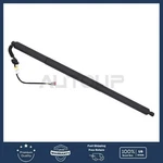 Tailgate Strut Liftgate Support For 2017-2025 Chrysler Pacifica Voyager New. Price: $86.99.