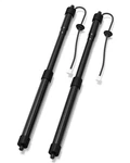 2PCS Electric Liftgate Actuator Fit For 2013-2019 Hyundai Santa Fe 81771-B8100 Used. Price: $59.00.