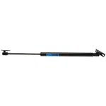 Strong Arm Supports 6127 Liftgate New. Price: $54.13.