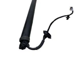 2023 Fisker Ocean Oem Rear Left & Right Power Tailgate Lift Strut FM2955210008A Used. Price: $97.75.