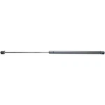 For Jeep Wrangler Yj Liftgate Support 1987-1995 Driver Passenger Side New. Price: $39.37.