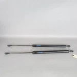 1999-2003 Volkswagen Eurovan Trunk Hatch Strut Shocks Pair 7D0829331F Oem Used. Price: $37.17.