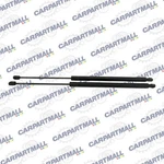 2004-2010 Toyota Sienna Rear Left Right Liftgate Strut Shock Support Pair Used. Price: $64.99.