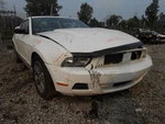 Trunk/hatch/tailgate Without Satellite Antenna Boss Fits 10-12 Mustang 1745632 Used. Price: $618.97.