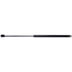 Strong Arm Supports 6247 Liftgate New. Price: $36.27.