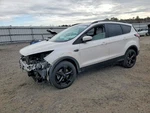 2017 Ford Escape Trunk Lid Used Oem White Power Liftgate Local Pickup Only. Price: $636.12.