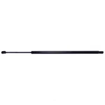 Lift Support Strong Arm C6688 New. Price: $41.83.