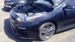 (local Pickup Only) Trunk/hatch/tailgate Sedan With Spoiler Fits 19-21 Forte 110 Used. Price: $189.99.