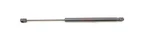 New Oem Liftgate Back Glass Support 8717026011 For Hyundai Santa Fe 00-06. Price: $54.95.