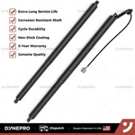 Rear Left & Right Tailgate Power Lift Supports Ford Escape 1.5L 2.0L 2.5L New. Price: $18.04.
