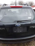 (local Pickup Only) Trunk/hatch/tailgate Without Spoiler Fits 15-16 Forester 317 Used. Price: $449.90.