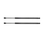 For Honda Accord 1998-2002 Lift Support Driver And Passenger Side Pair New. Price: $52.45.