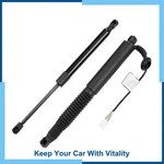 Rear Lh Rh Tailgate Power Lift Support For Tesla Model 21-23 155148898B New. Price: $113.99.