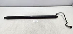 15-18 Oem Porsche Cayenne Turbo 958 Rear Right Passenger Liftgate Strut Shock Used. Price: $119.95.