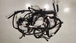 Trunk/hatch/tailgate Wire Harness 15-17 Camry Used. Price: $89.00.