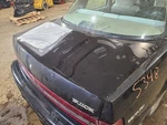 Trunk/hatch/tailgate Excluding Station Wgn Fits 89-96 Century 655441 Used. Price: $349.00.