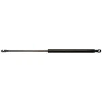 Trunk Lid Lift Support Strong Arm 4461 New. Price: $27.71.