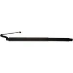 Dorman 747-054 Tailgate Pull Down Motor For 15-21 Nissan Murano New. Price: $449.65.