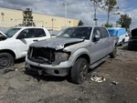 Trunk/hatch/tailgate Styleside Box Fits 11-14 Ford F150 Pickup 593114 Used. Price: $550.00.
