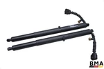 Lucid Air Rear Left & Right Trunk Support Shock Set (2) 2022 2023 2024 2025 Oem Used. Price: $137.99.
