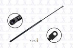 Liftgate Support-hatch Fcs 84979 Fits 94-01 Acura Integra New. Price: $25.99.