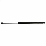 Genuine Ford Lift Assembly Gas BA1Z-78406A11-A New. Price: $39.44.