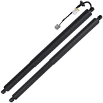 2016 2017-2019 Ford Explorer Gas Springs 2PC Lift Supports Shocks Struts New. Price: $90.30.