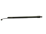 2025 Toyota 4RUNNER N500 Rear Right Trunk Tailgate Strut Shock Support Cylinder Used. Price: $199.45.