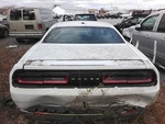 (local Pickup Only) Trunk/hatch/tailgate Without Spoiler Fits 15-17 Challenger 3 Used. Price: $324.90.