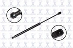 Genuine Focus Auto Parts Tailgate Lift Support 86204 New. Price: $14.18.