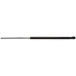 Back Glass Lift Support Strong Arm 4219 New. Price: $34.28.