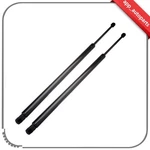2X Liftgate Support Fits 08-15 Chrysler Town & Country Dodge Grand Caravan New. Price: $29.91.