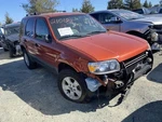 2002-2007 Ford Escape Rear Back Trunk/hatch/tailgate Lid *check Tint* Used. Price: $699.99.
