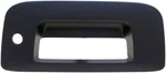 Tailgate Handle Bezel Dorman 82775 New. Price: $76.23.