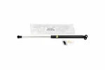 Genuine Oem Left Liftgate Support For Lexus LX470 98-07, Toyota 6896069017 New. Price: $65.78.