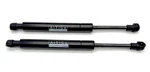 Aiyigu TH-0115 Rear Hatch Struts 6429 Sentra 07-12 Lift Support 2PC New. Price: $19.95.