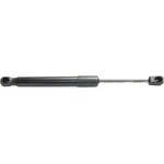 For Mercury Sable Lift Support 2005 Driver Passenger Side Single Piece New. Price: $20.87.