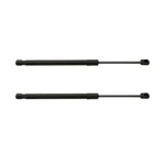 For Buick Lacrosse 2017-2019 Hood Lifts Driver And Passenger Side Pair Strut New. Price: $46.34.