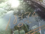 Trunk/hatch/tailgate With Spoiler Fits 01-03 Pt Cruiser 218064 Used. Price: $175.00.