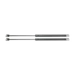 For Bmw 318I/323I/325I/328I 1992-1999 Lift Support Driver And Passenger Side New. Price: $38.89.