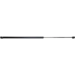 For Cadillac Cts Hood Lift Support 2003-2007 Driver Passenger Side Front New. Price: $30.62.