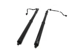 2012-2019 Range Rover Evoque (L538) Left & Right Electric Trunk Shock Strut Set Used. Price: $149.99.