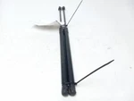 2007 Nissan Murano Rear Decklid Tailgate Struts Oem Used. Price: $34.19.