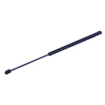 Tuff Support 613171 Back Glass Lift For Toyota New. Price: $33.82.