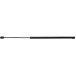 Hood Lift Support Strong Arm 6164 Fits 08-17 Buick Enclave New. Price: $43.20.